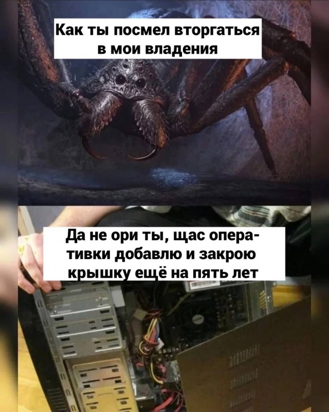 Картинки для деградации (разной степени свежести)