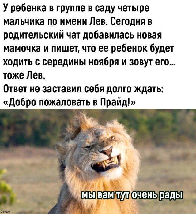 Картинки для деградации 7 (разной степени свежести)