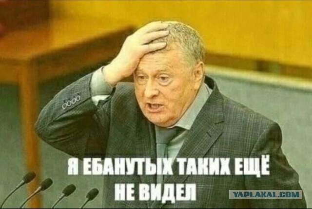 Засилье медведей в Подмосковье