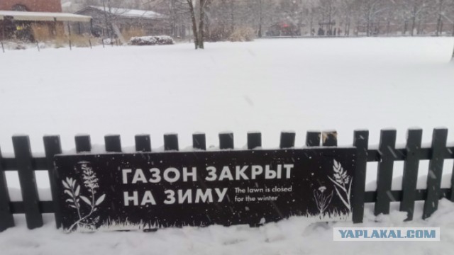 Вот моё дело…