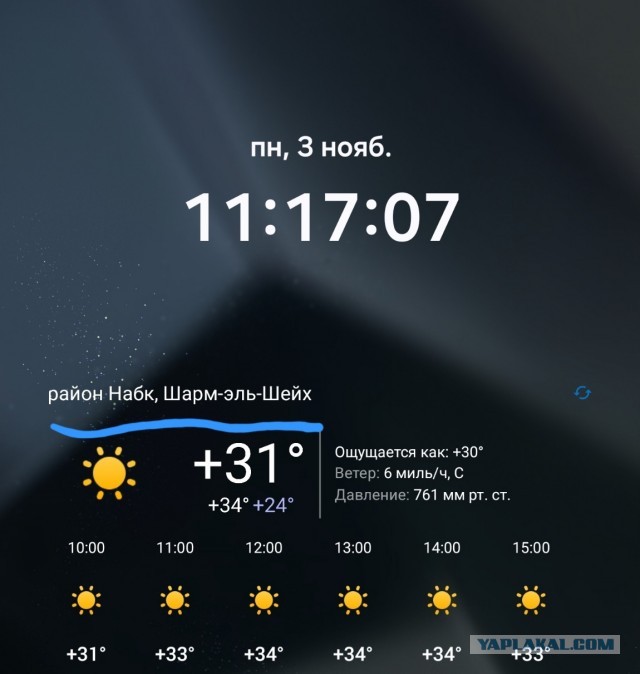 Владивостокские "Патрики" по сравнению с московскими