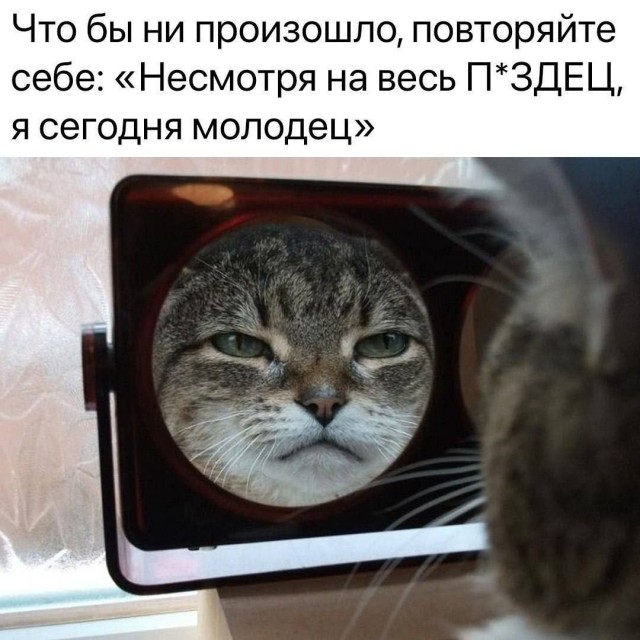 Картинки для деградации 79 (разной степени свежести)