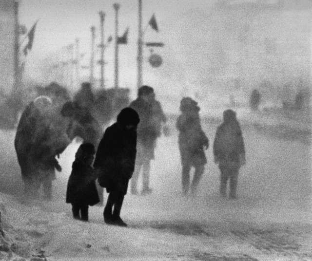 Зима в объективе Всеволода Тарасевича