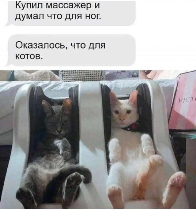 Так себе картинки 02.02.26