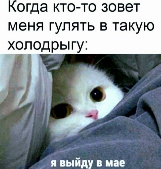 Веселые картинки в четверг