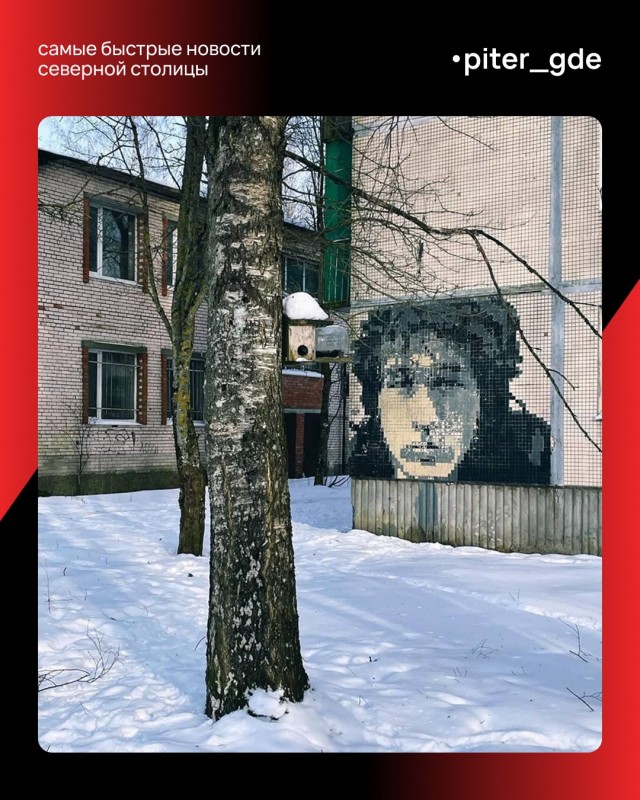 Легенды рока появились на стенах домов в посёлке Елизаветино в Ленобласти