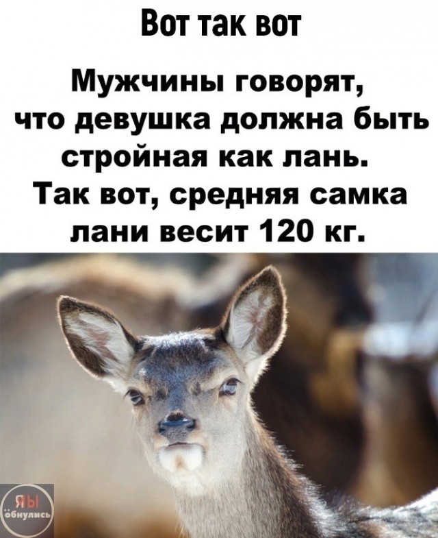 Понедельника картинки
