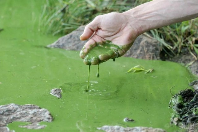 В российском городе жалуются на воду с запахом гнили