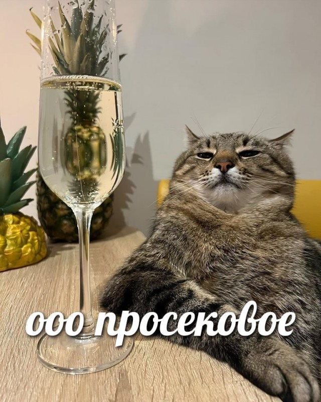 Привет Волочковой