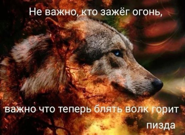 Картинки для деградации 306 (разной степени свежести)