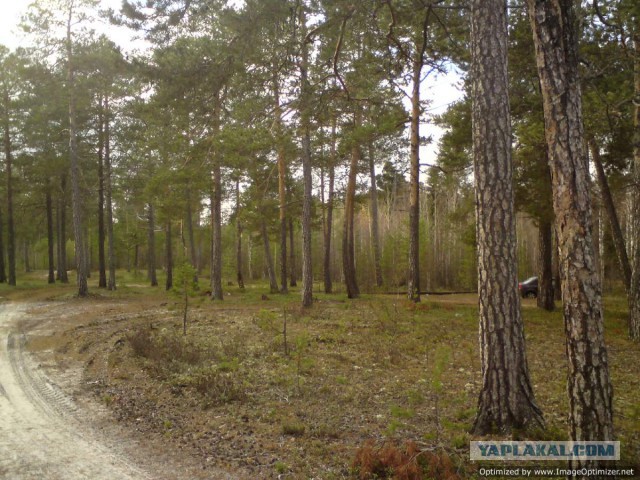 Трасса Нижневартовск-Сургут в -40 градусов