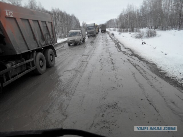 Озеленение Владивостока.