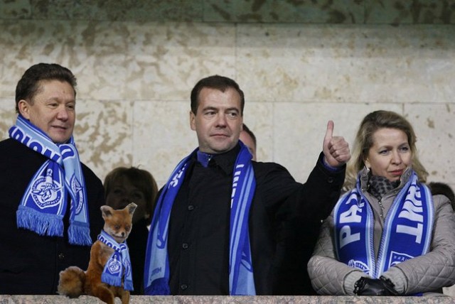 Упоротый лис приедет в Санкт-Петербург