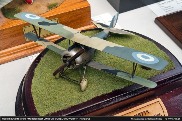 MOSON MODEL SHOW 2014