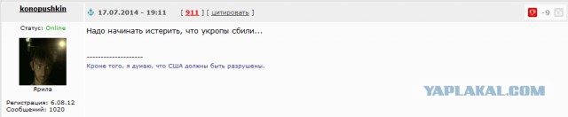 На Украине рухнул Боинг-777 малайзийских авиалиний