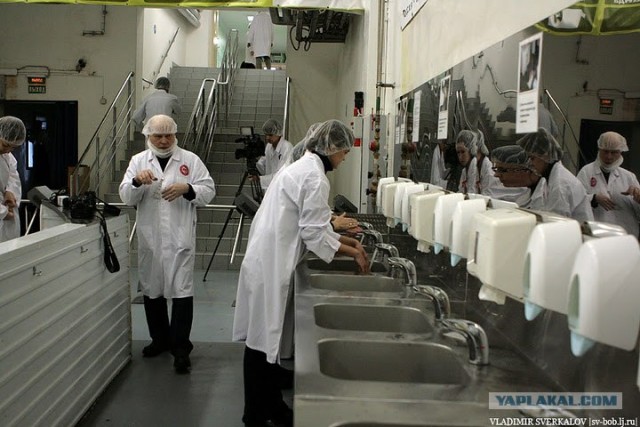 Так делается шоколад. Россия - щедрая душа!