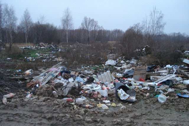 Все засрали москвичи!