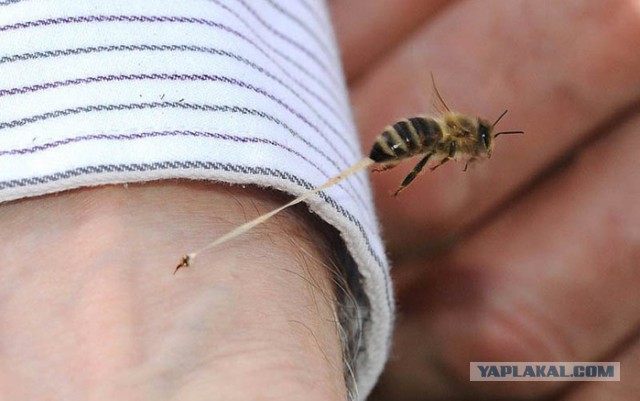Зачем мужчины отращивают на мизинце длинный ноготь