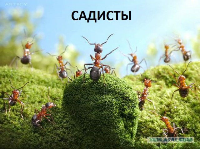 Поездка в деревню в Луганской обл.