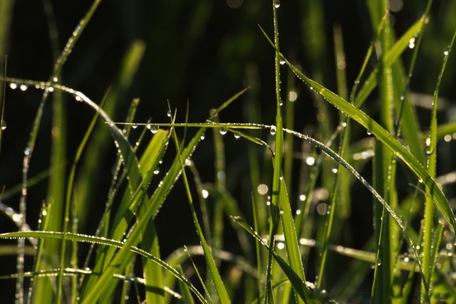 Золотая осень