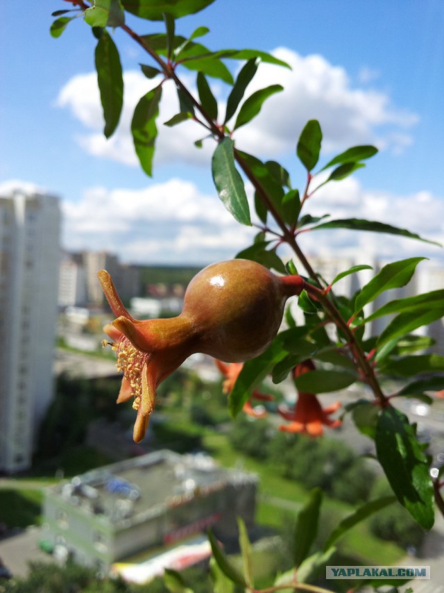А говорят, мужчины не могут делать ЭТО...