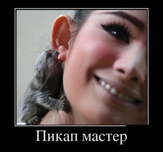 Немного демотиваторов