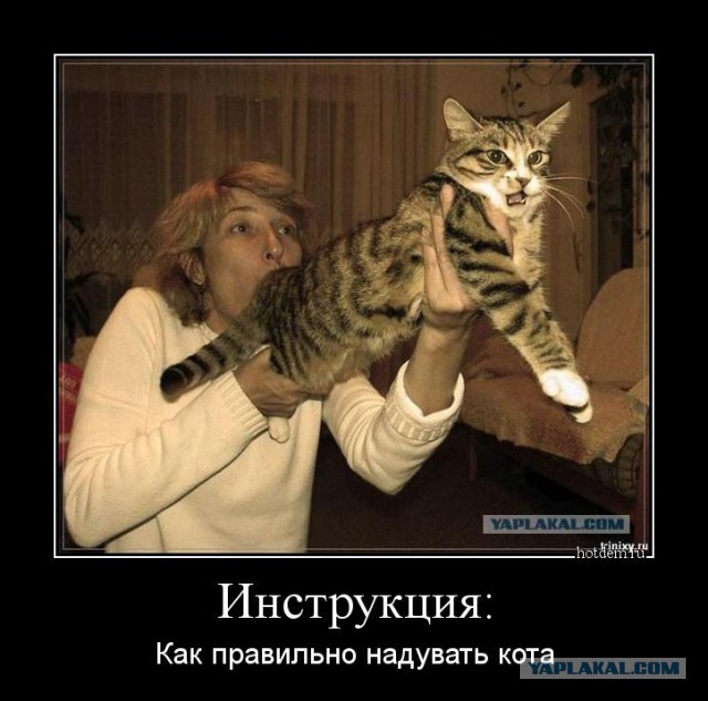 Демотиваторы на субботу