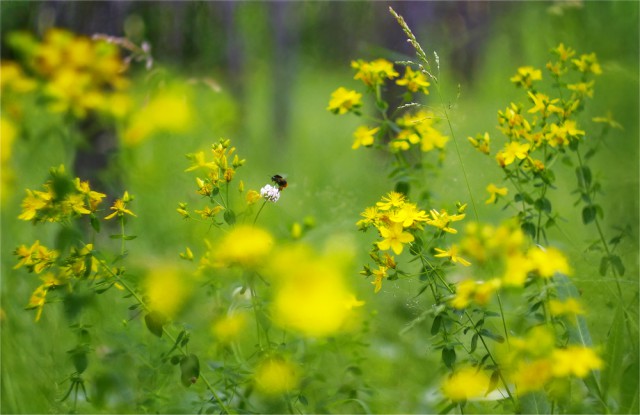 Немного моих фото, авторское