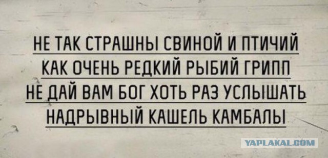 Картинки на пятницу