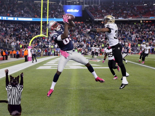 Фотожаба: «Сдающаяся» кошка