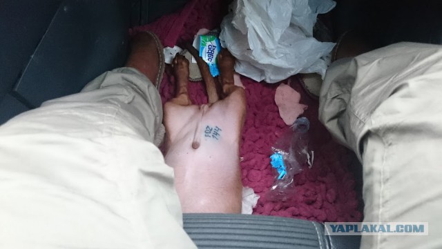 Памяти ушедшего рано Друга