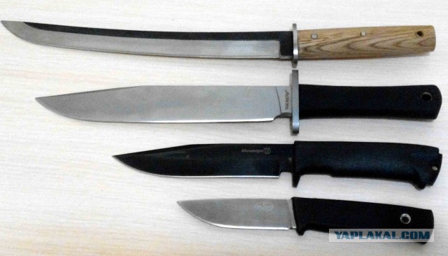 В Омске догхантеры отравили собак, гулявших с хозяевами