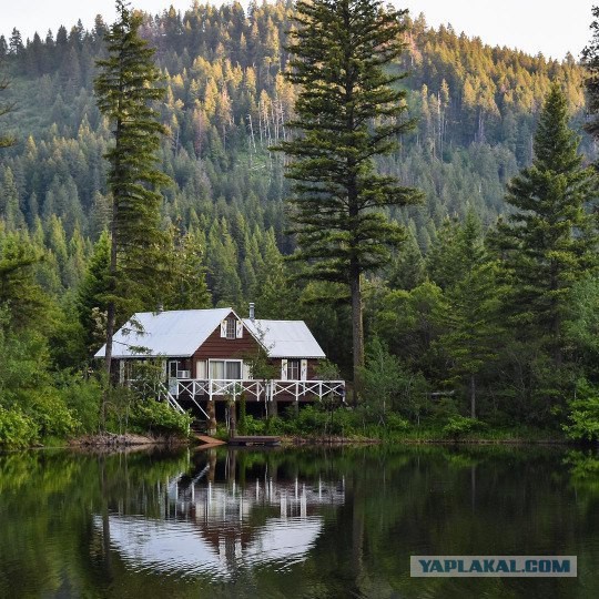 Дома в лесу, здесь бы я отдохнул!