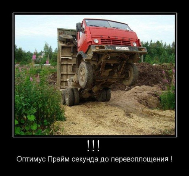 Подборка безудержного веселья