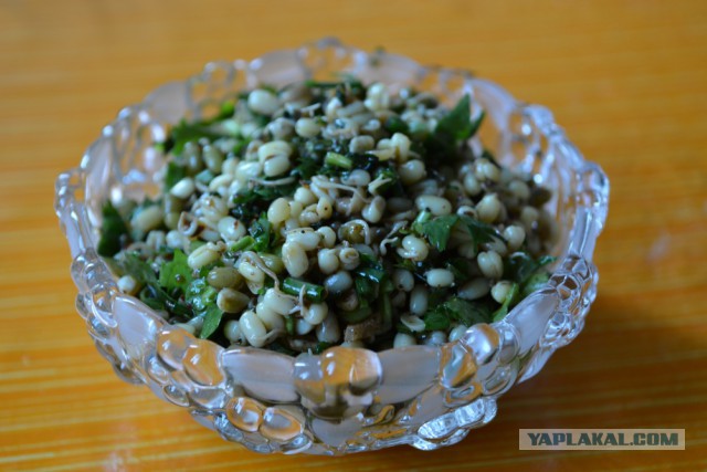 Салат из пророщенного маша (по-корейски).