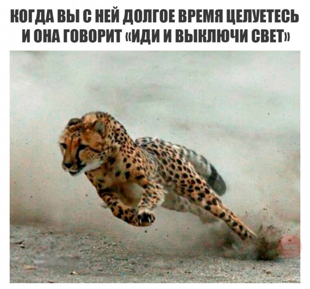 150 картинок для поднятия настроения!