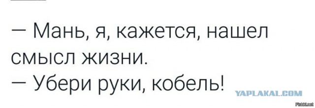 Достойный заработок для мужика 35 лет