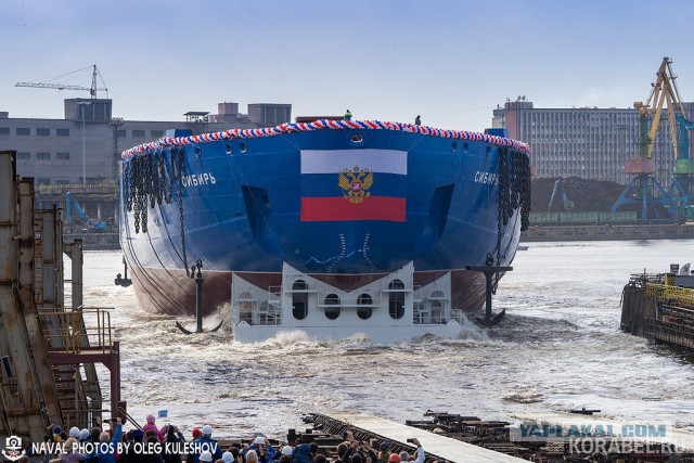 Всё о арктических цепях