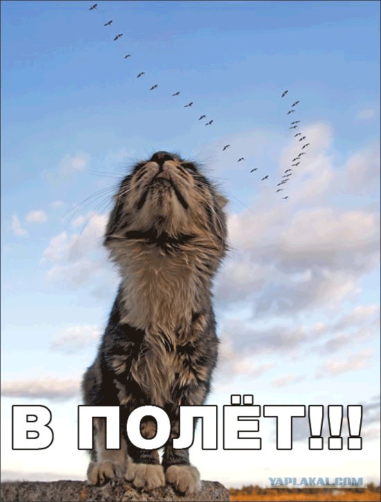А мне летать охота... Эх!