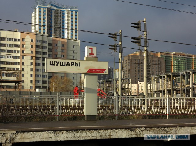 Кулинарная общалка