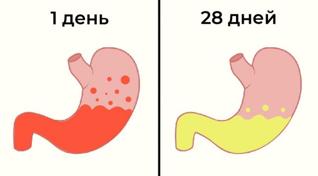 5+ изменений в организме, если отказаться от алкоголя хотя бы на месяц