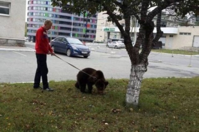 Картинки на воскресный день
