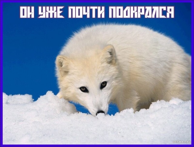 Как подготовиться к сдвигу полюсов в этом году
