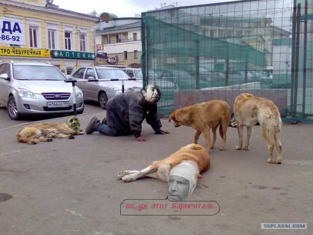 Лучший друг человека.... или наоборот!?