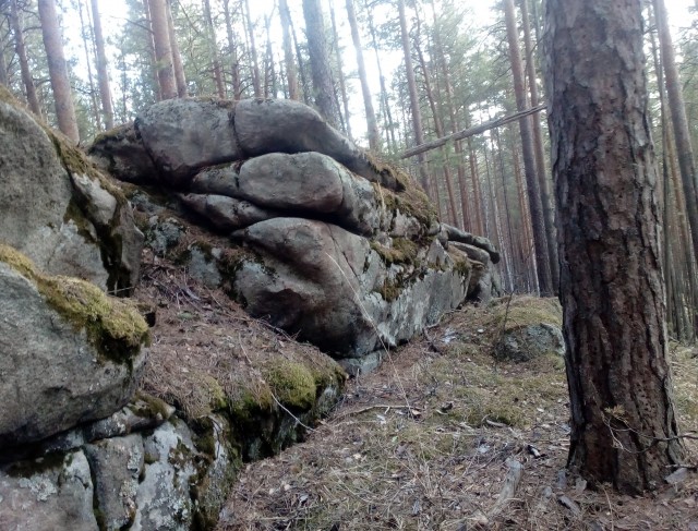 Где-то на Урале лес заменяет людям небо