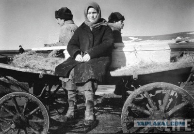 Битва фотожаберов №6."Паваротти" по вызову
