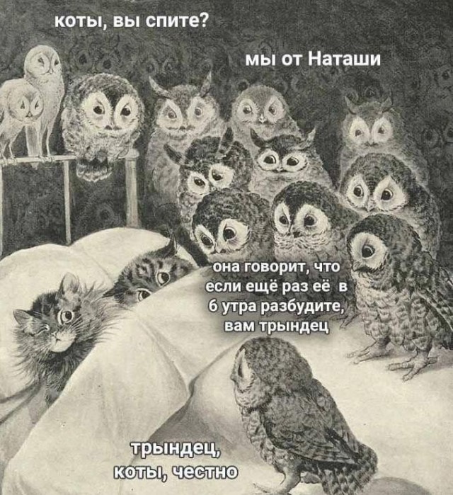 Наташа, вставай!