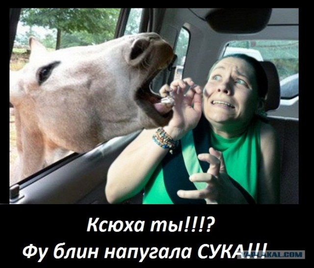 Фотожаба: Страх!