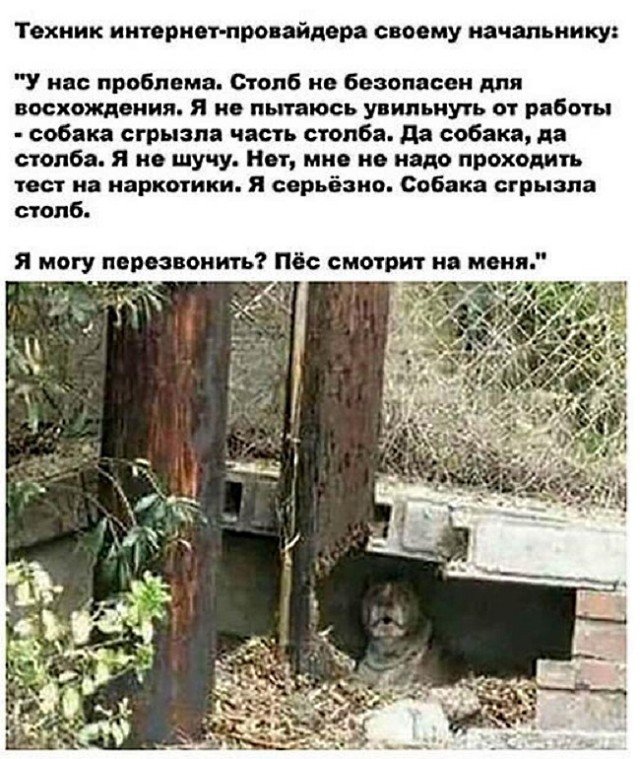 Картинки с надписями и всякие жизненные фразы 10.1.21