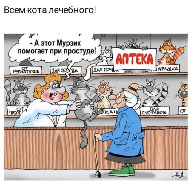 Всех кошатников с Праздником!